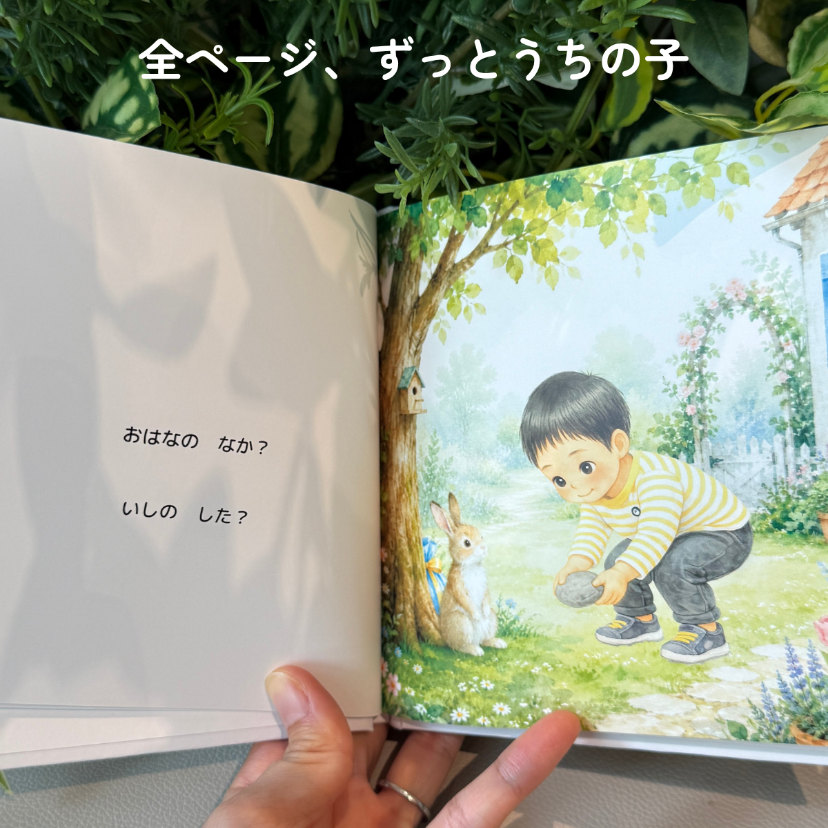 ⚪︎⚪︎のプレゼントはどこ？（1-4歳向けお誕生日絵本）